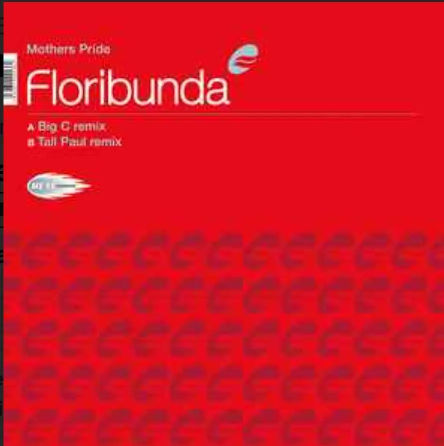 Mothers Pride – Floribunda