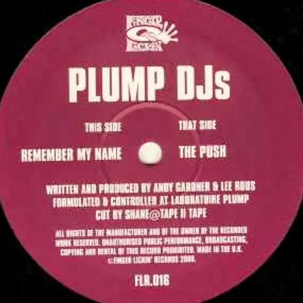 Plump DJs – The Push / Remember My Name