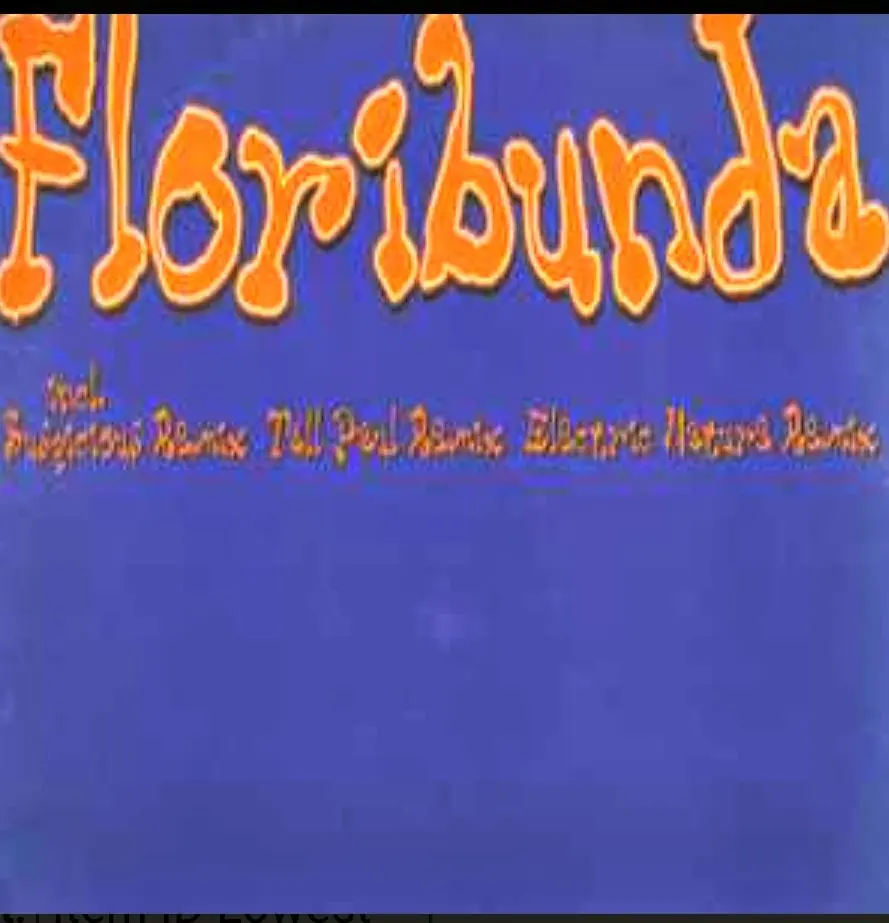 Mother's Pride – Floribunda