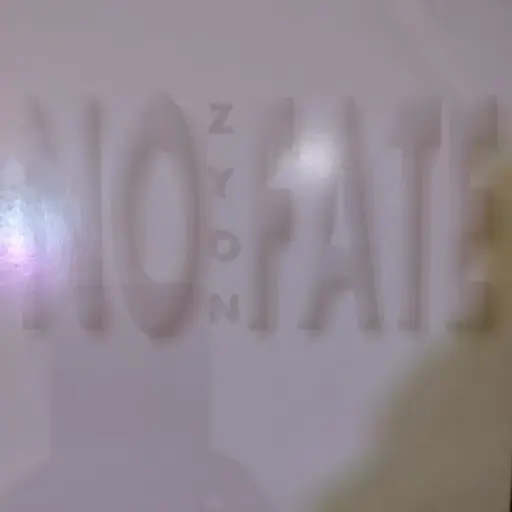 [1L037] ZYON - NO FATE ULTIMATE MIXES