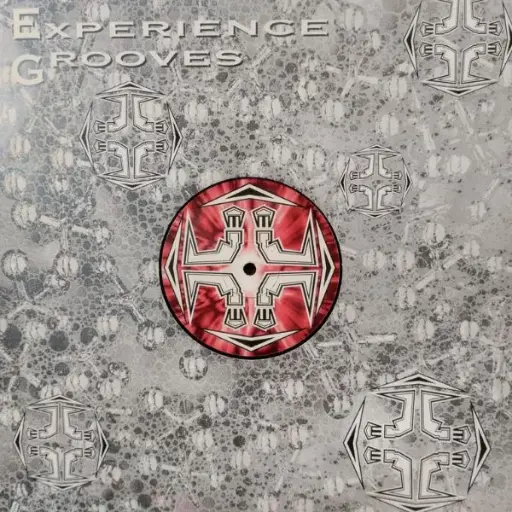 [e01045] KOMATOSE - EXPERIENCE GROOVES 