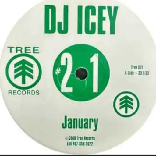 [1074] DJ Icey – January
